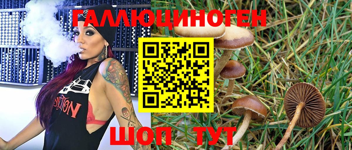 Галлюциногенные грибы мицелий  Псилоцибиновые грибы Psilocybine cubensis  Вход с VPN  Фролово 