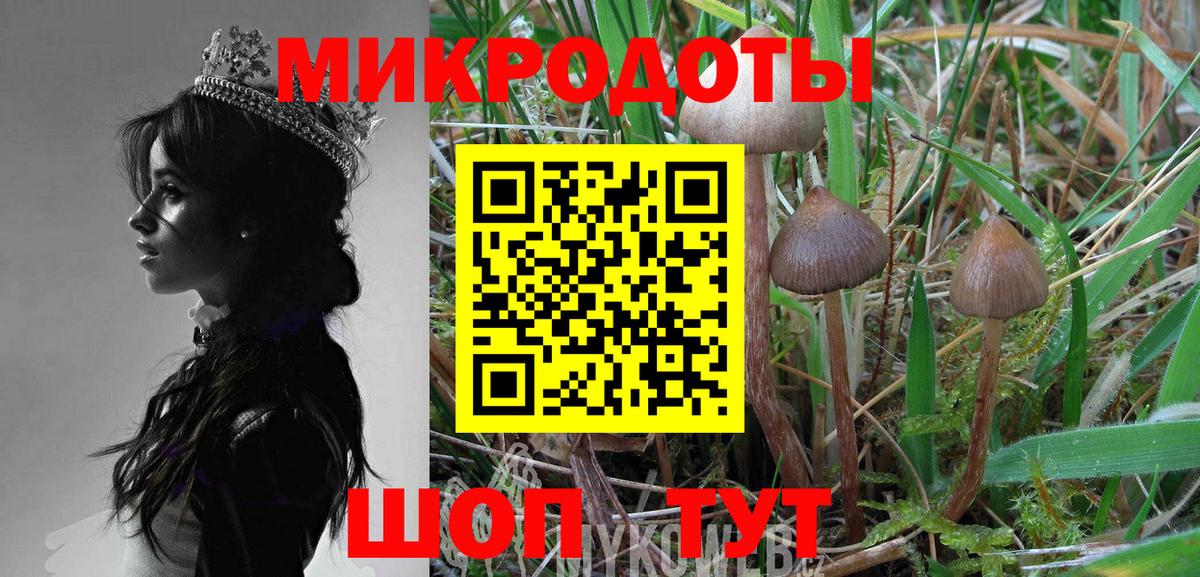 Галлюциногенные грибы мицелий Фролово